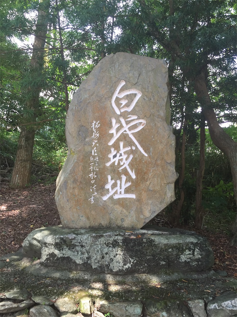 f:id:awa-otoko:20160820210203j:image