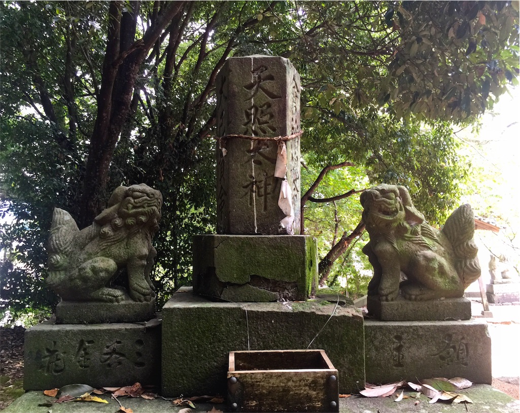 f:id:awa-otoko:20160827232413j:image