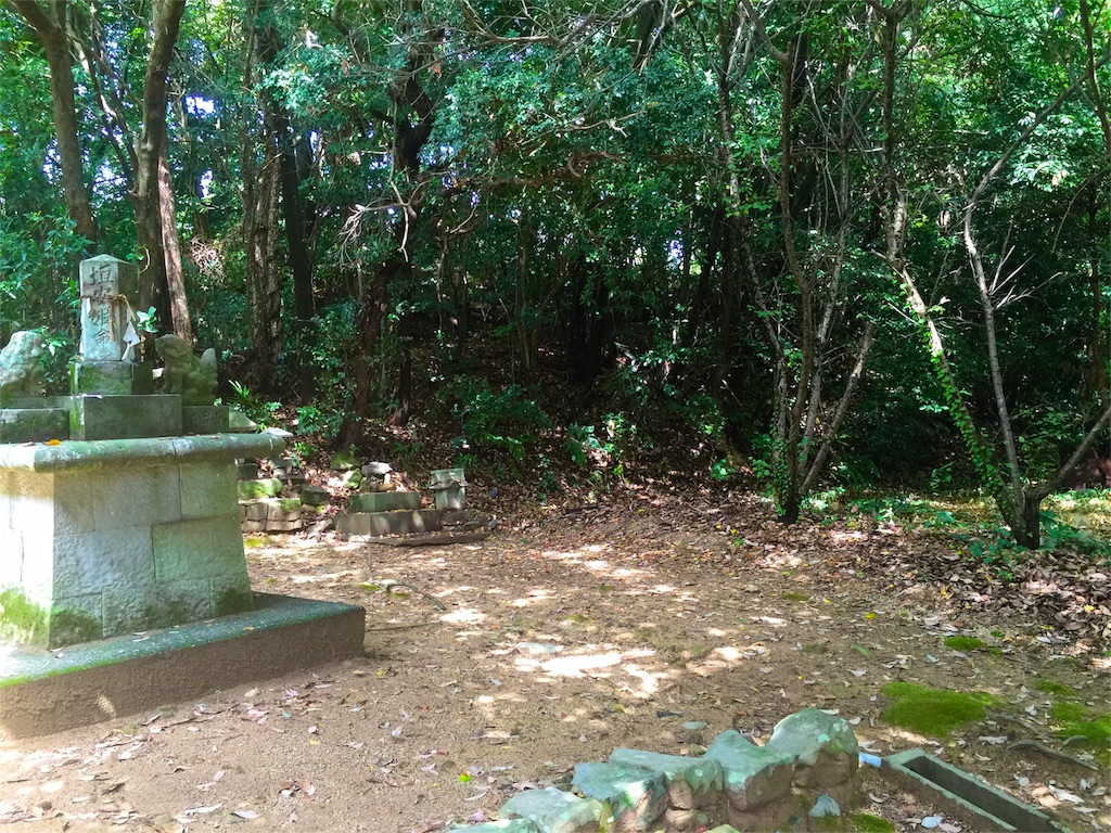 f:id:awa-otoko:20160827232427j:image