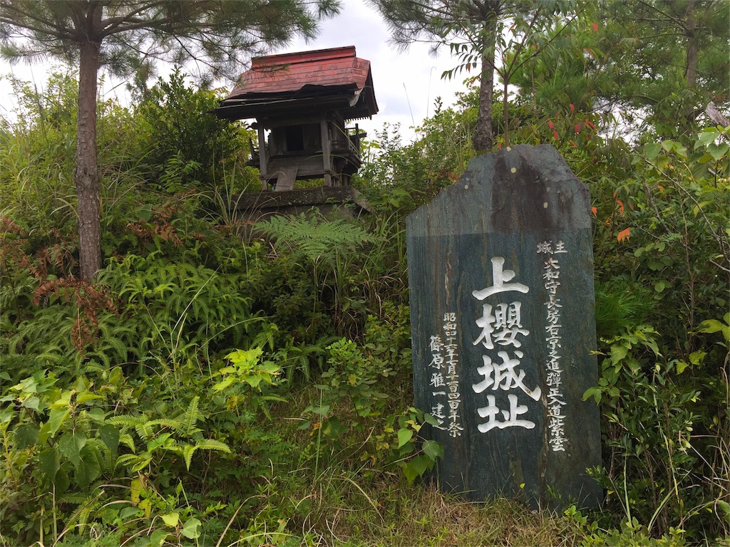 f:id:awa-otoko:20160902223341j:image