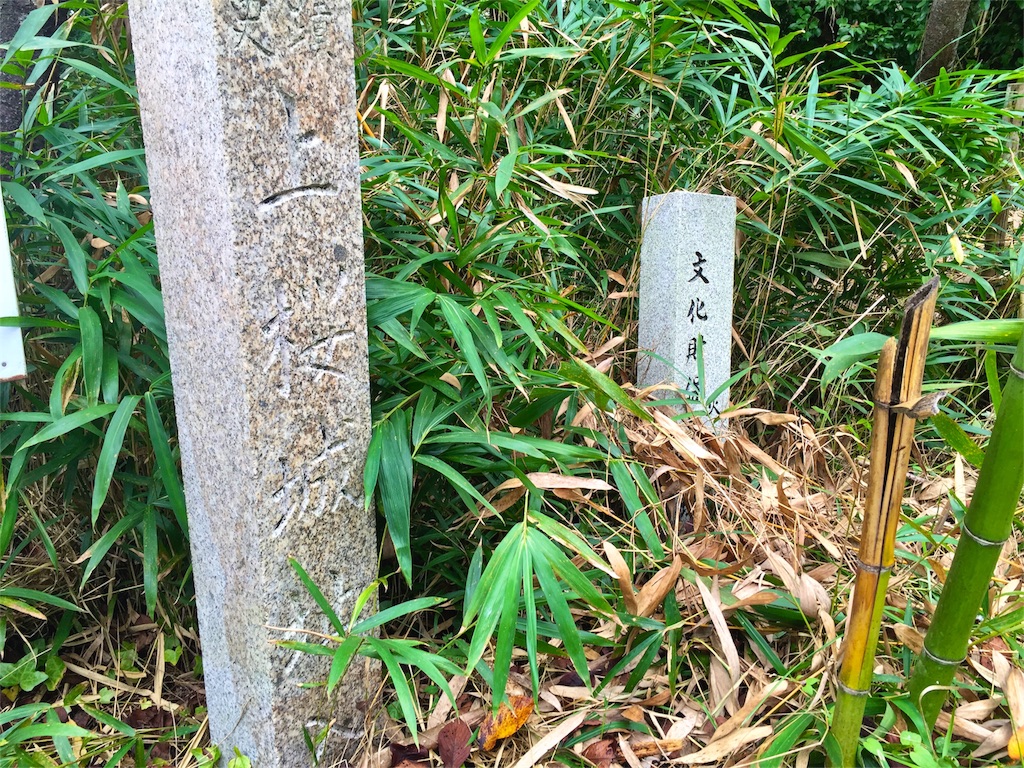 f:id:awa-otoko:20160902224219j:image