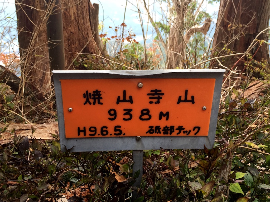 f:id:awa-otoko:20160903000715j:image