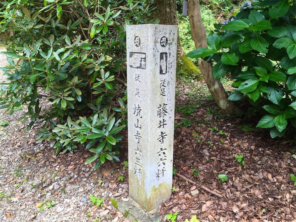 f:id:awa-otoko:20160903001047j:image