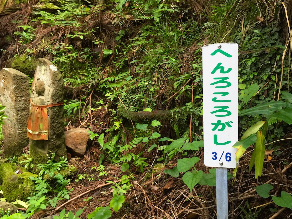 f:id:awa-otoko:20160903001133j:image