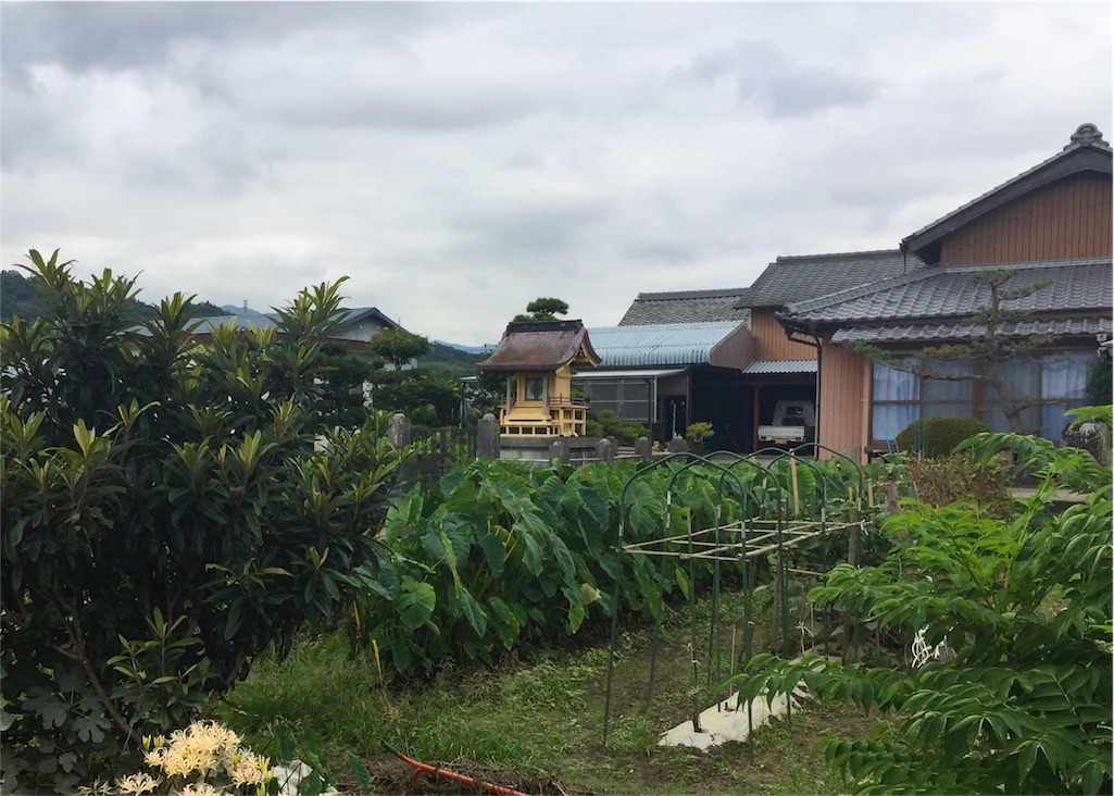 f:id:awa-otoko:20160923192624j:image