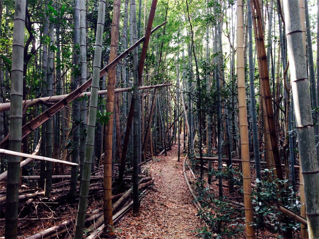 f:id:awa-otoko:20161003225333j:image