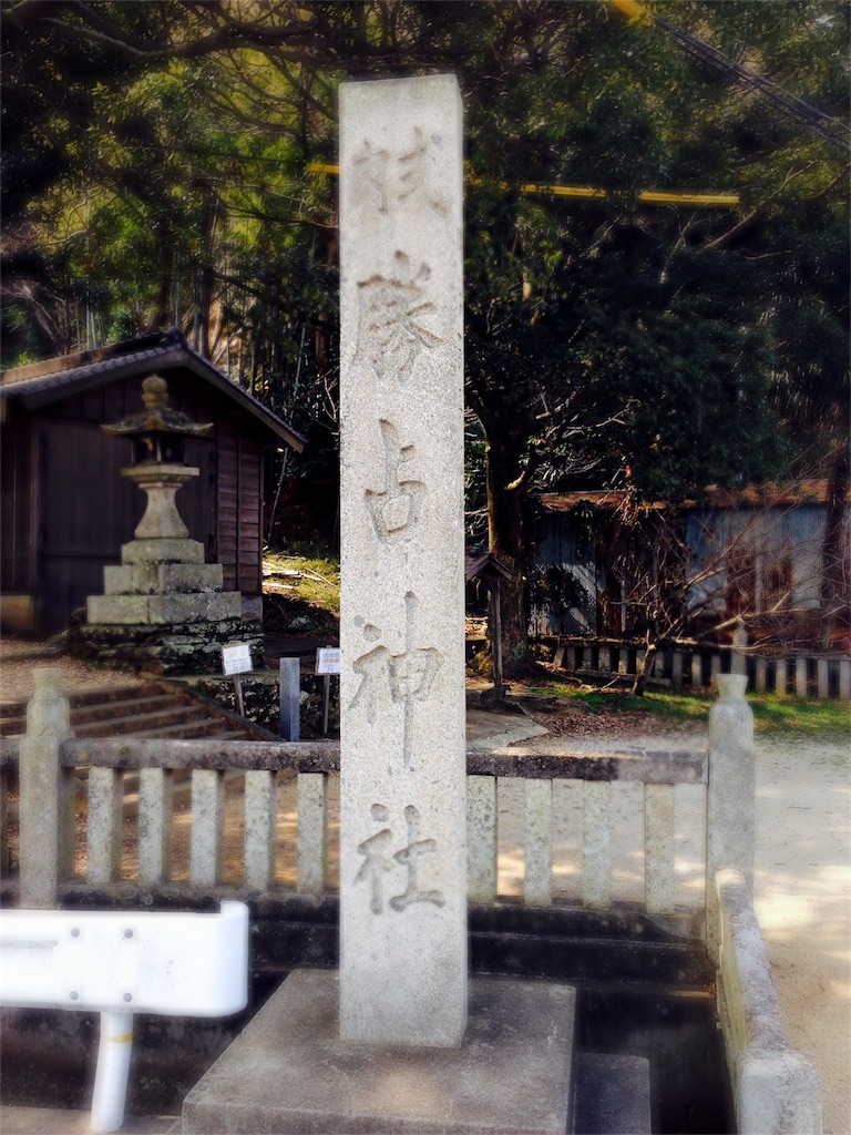 f:id:awa-otoko:20161003225428j:image