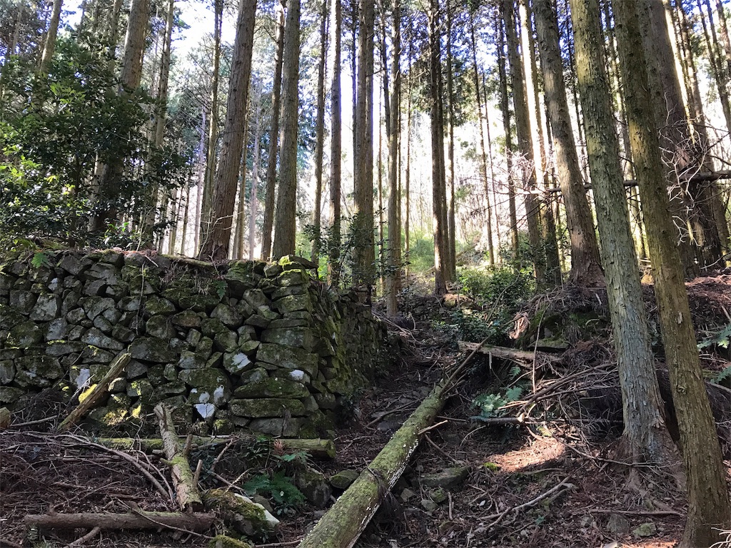 f:id:awa-otoko:20170204152816j:image