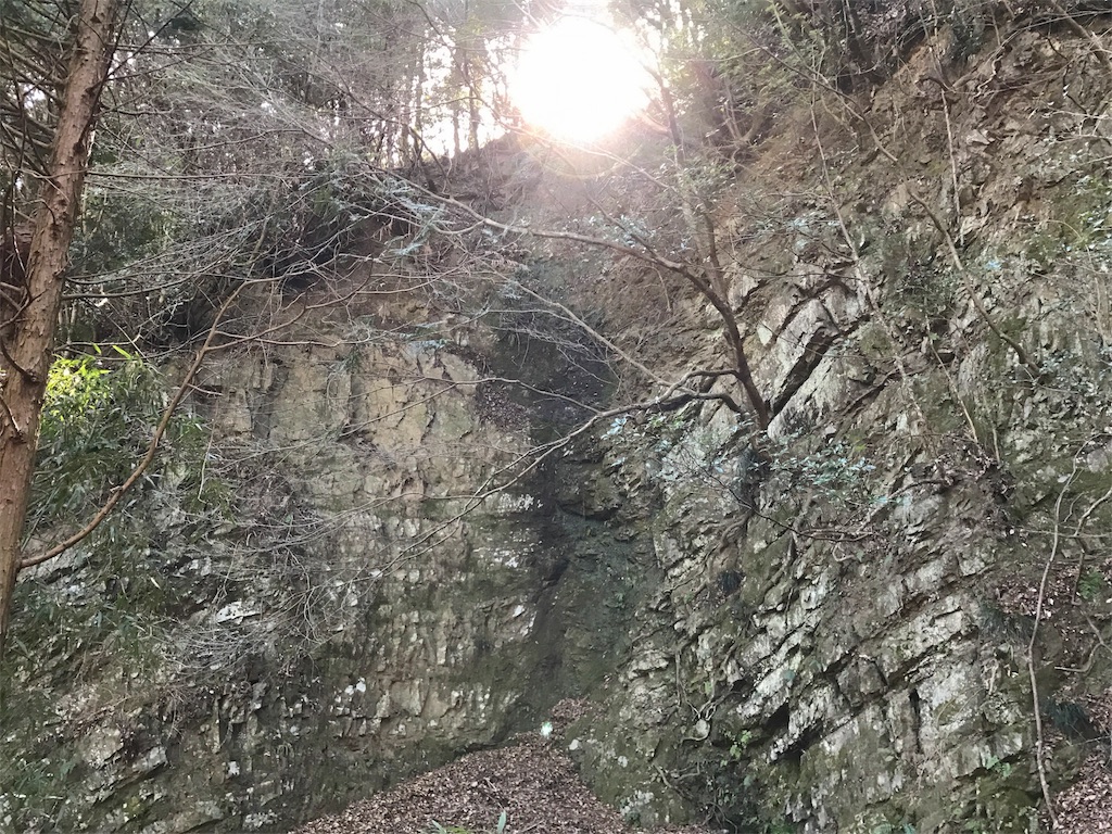 f:id:awa-otoko:20170204174512j:image