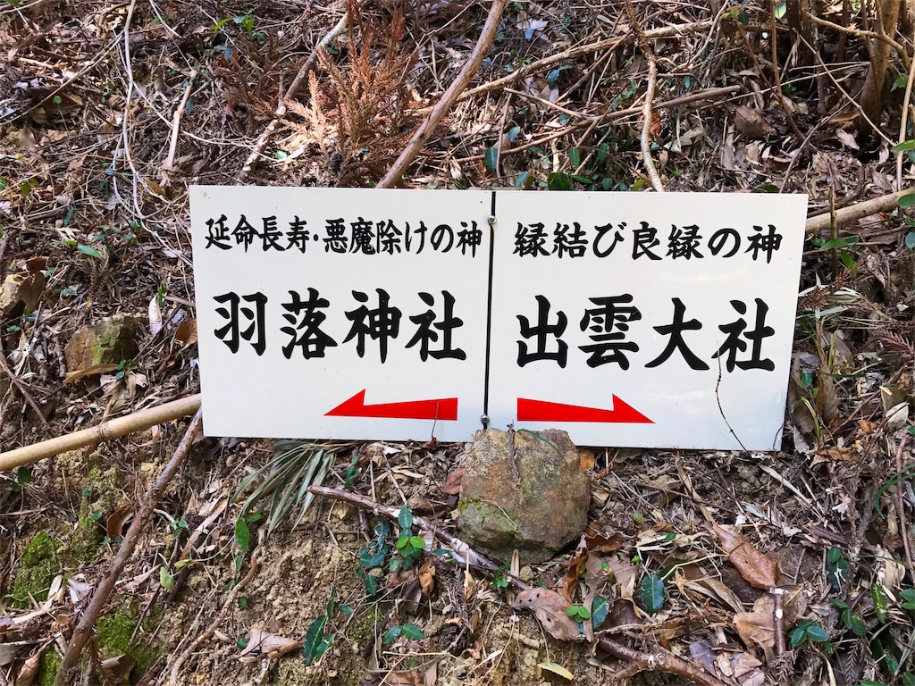 f:id:awa-otoko:20170218234917j:image