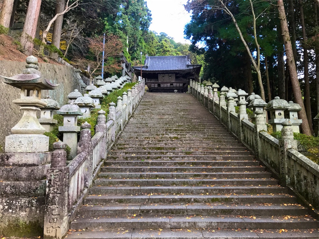 f:id:awa-otoko:20170608233612j:image
