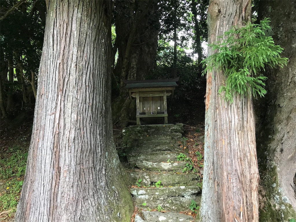 f:id:awa-otoko:20170621192401j:image f:id:awa-otoko:20170621192401j:image