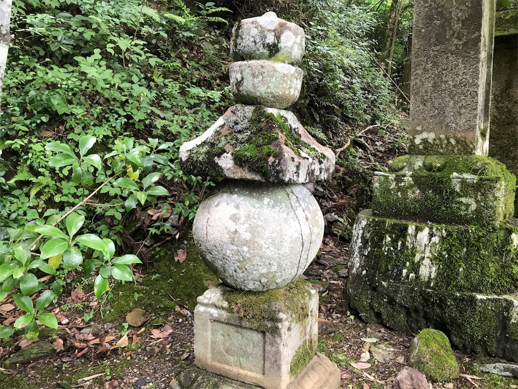 f:id:awa-otoko:20170709230921j:image