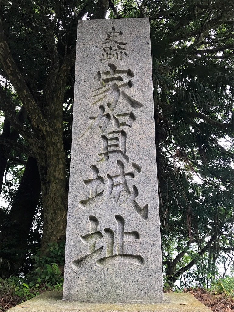 f:id:awa-otoko:20170730002842j:image
