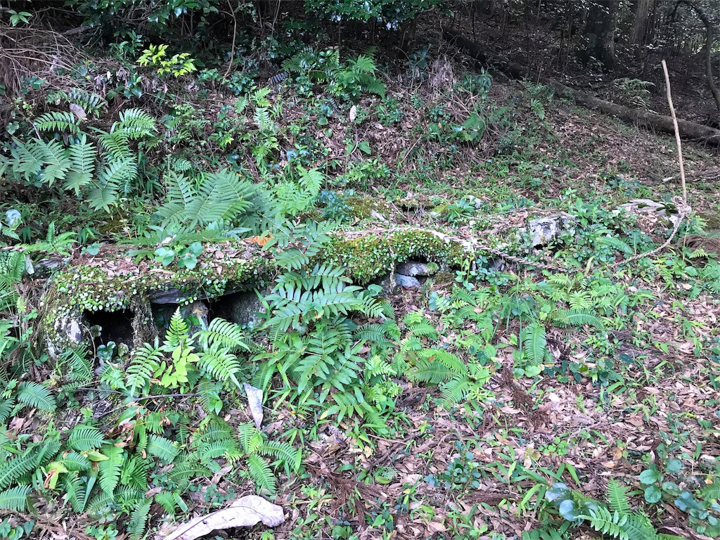 f:id:awa-otoko:20170911213541j:image