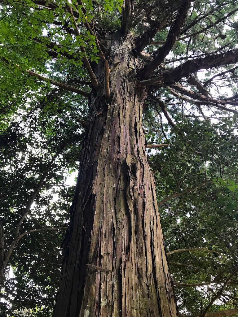 f:id:awa-otoko:20170911221103j:image f:id:awa-otoko:20170911221103j:image