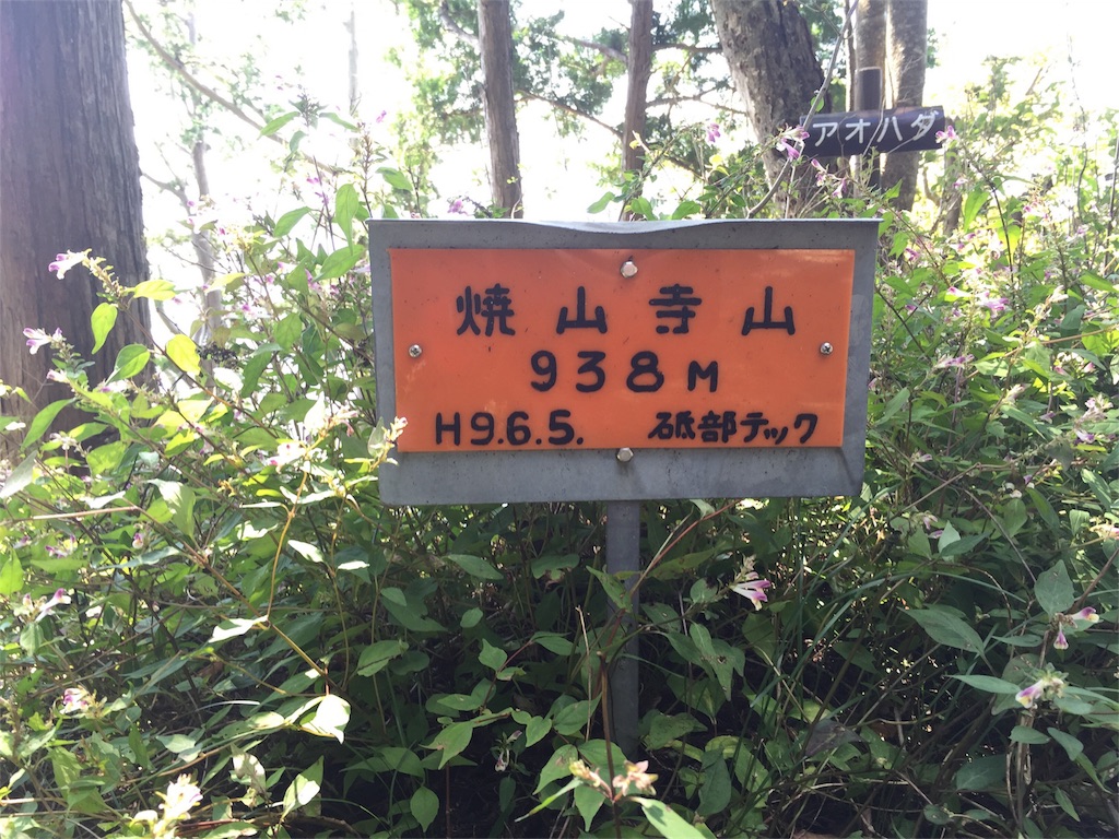 f:id:awa-otoko:20170917231912j:image