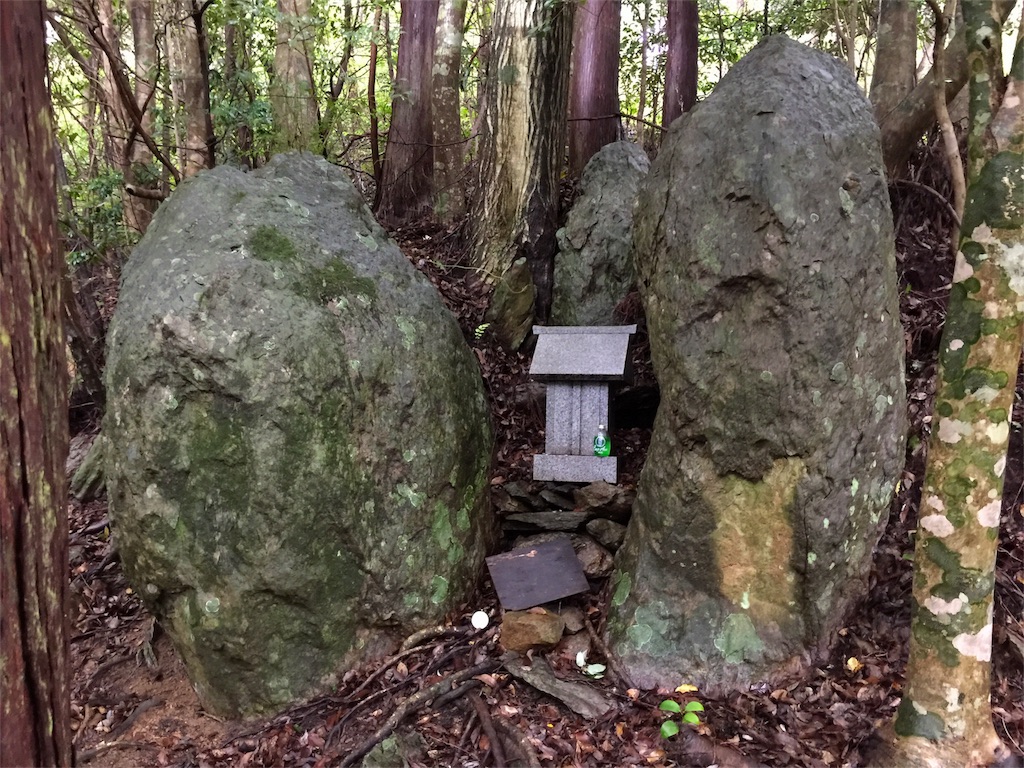 f:id:awa-otoko:20171119000331j:image f:id:awa-otoko:20171119000331j:image