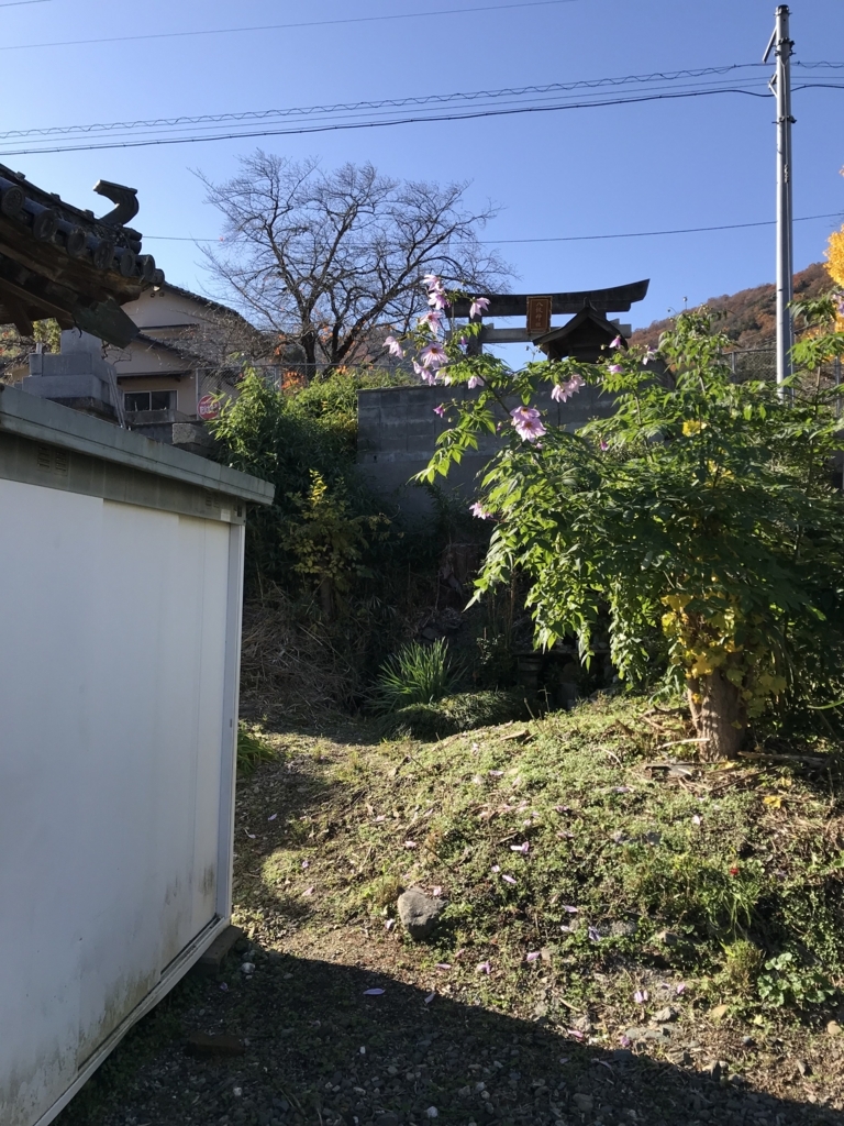 f:id:awa-otoko:20171203234447j:plain
