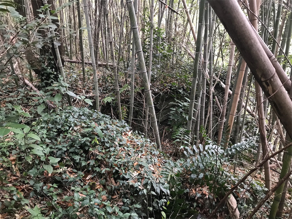 f:id:awa-otoko:20180106225045j:image