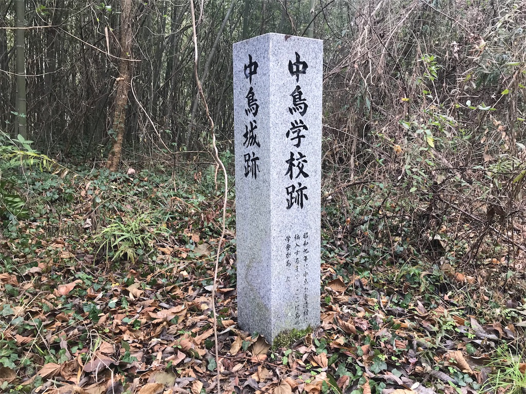 f:id:awa-otoko:20180106225249j:image