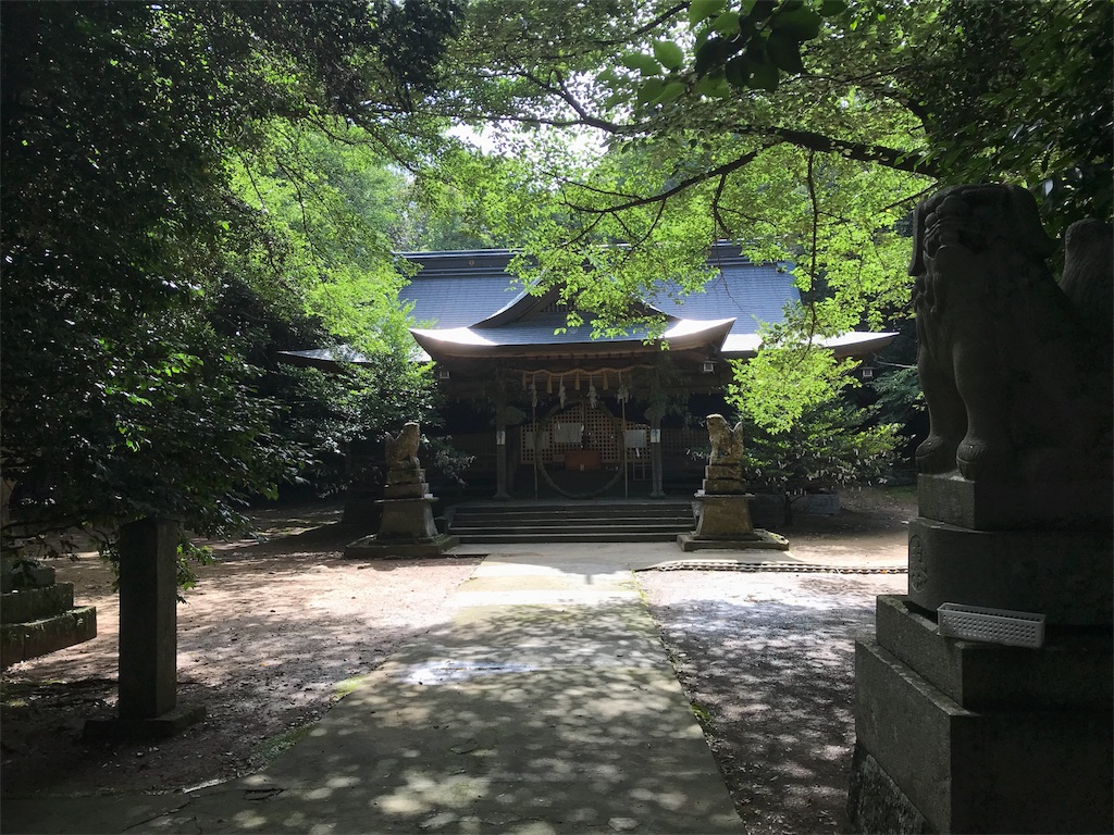 f:id:awa-otoko:20180707235059j:image