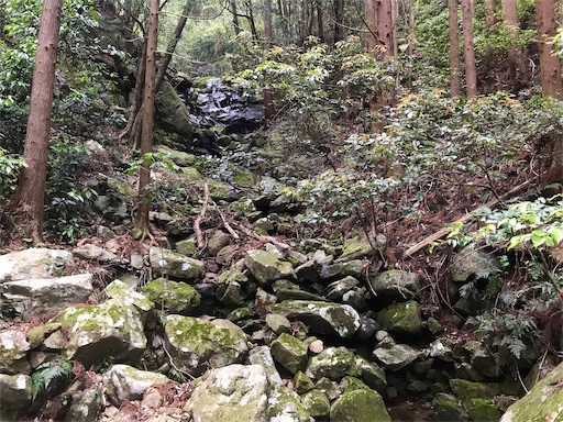 f:id:awa-otoko:20190614220628j:image