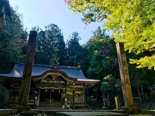 f:id:awa-otoko:20191109211316j:image