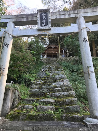 f:id:awa-otoko:20191109220723j:image