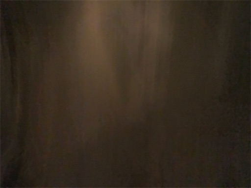 f:id:awa-otoko:20200101080438j:image