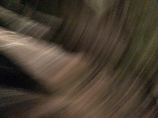 f:id:awa-otoko:20200101080443j:image