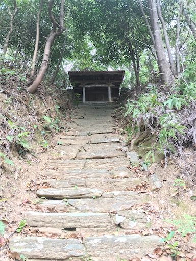 f:id:awa-otoko:20200123220107j:image