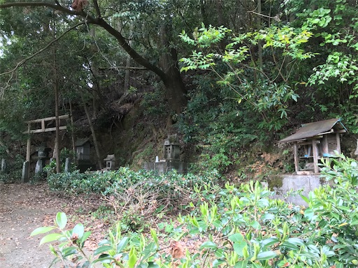 f:id:awa-otoko:20200123225008j:image