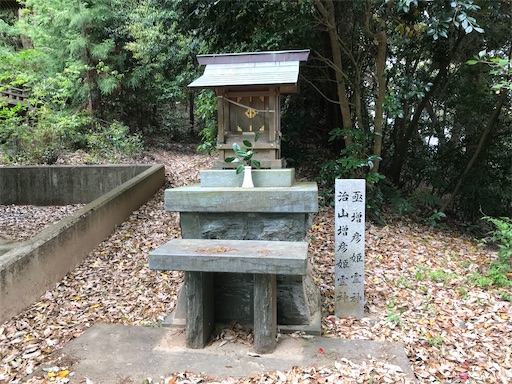 f:id:awa-otoko:20200123225012j:image