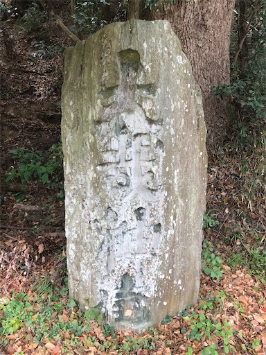 f:id:awa-otoko:20200123232225j:image