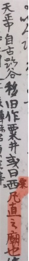 f:id:awa-otoko:20201229223455j:image