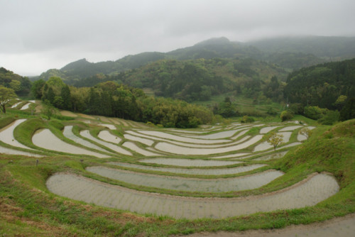 f:id:awa_renaissance:20080504091731j:image f:id:awa_renaissance:20080504091731j:image