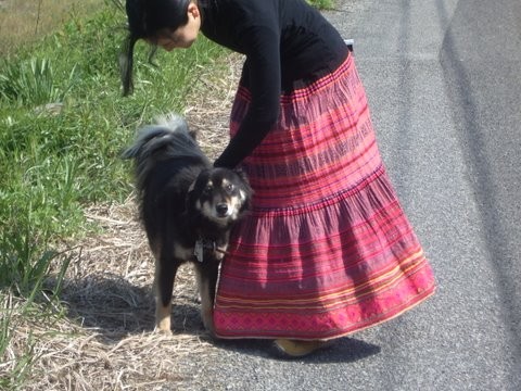 f:id:awa_renaissance:20100415034321j:image f:id:awa_renaissance:20100415034321j:image