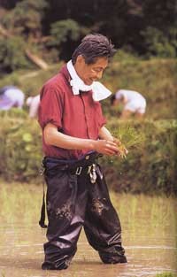 f:id:awa_renaissance:20100806132947j:image f:id:awa_renaissance:20100806132947j:image