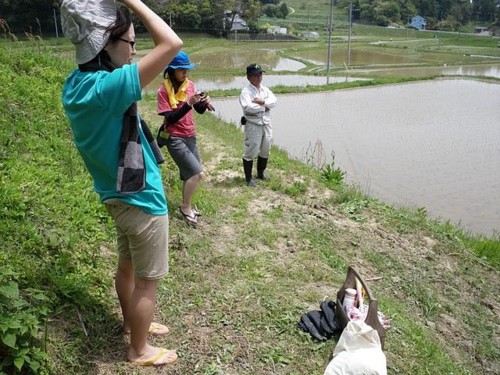f:id:awa_renaissance:20100806133458j:image f:id:awa_renaissance:20100806133458j:image