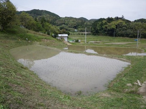 f:id:awa_renaissance:20100806133606j:image f:id:awa_renaissance:20100806133606j:image
