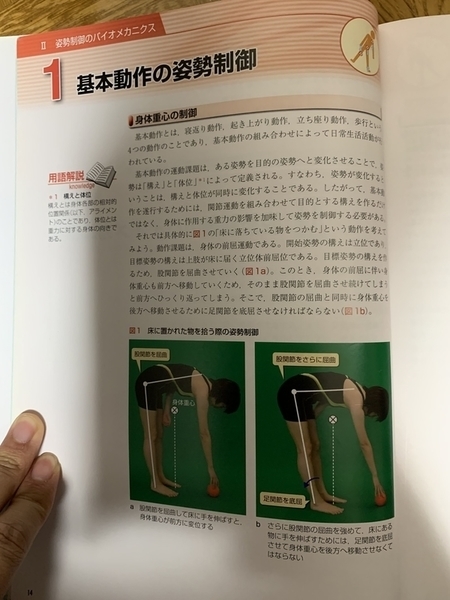 f:id:awachanel:20191108212122j:plain f:id:awachanel:20191108212122j:plain