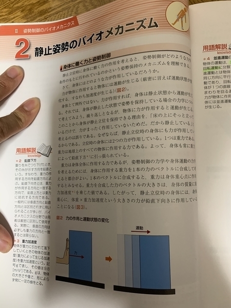 f:id:awachanel:20191108212210j:plain f:id:awachanel:20191108212210j:plain
