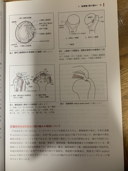 f:id:awachanel:20191108212435j:plain f:id:awachanel:20191108212435j:plain