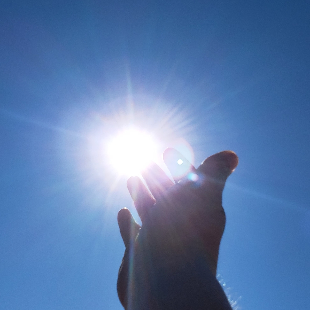 f:id:awahealing:20210317181035j:plain