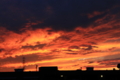 20131115165606