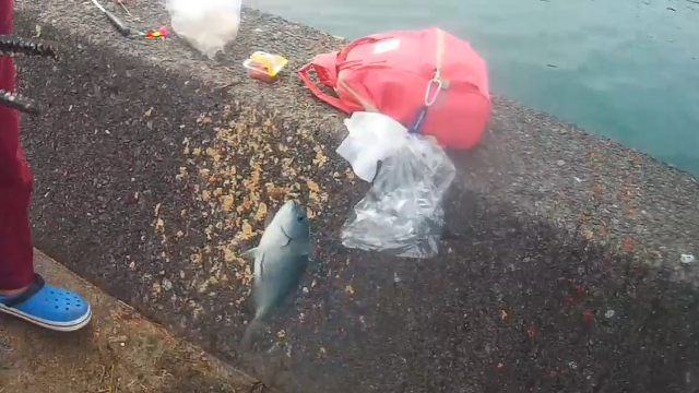 f:id:awajitakota:20181025104445j:plain