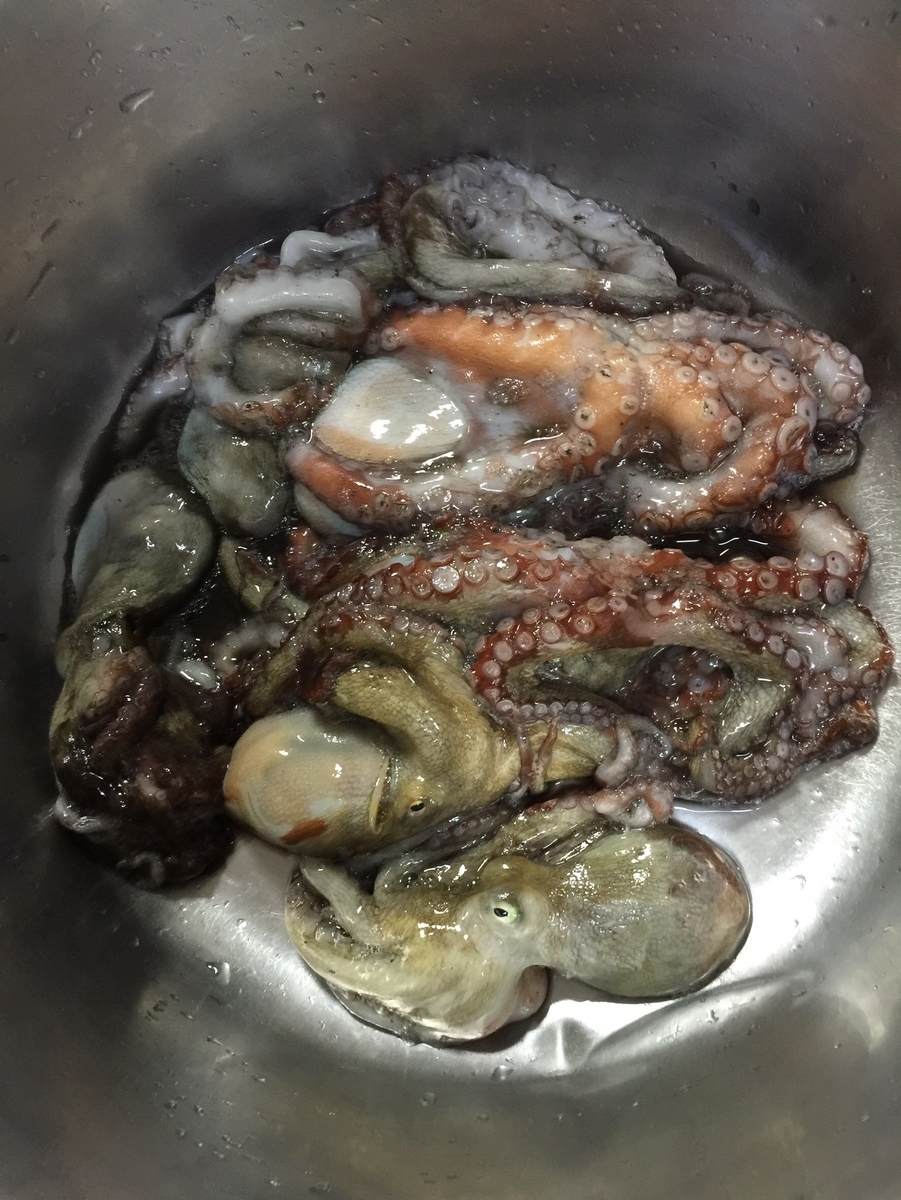 f:id:awajitakota:20190712182225j:plain