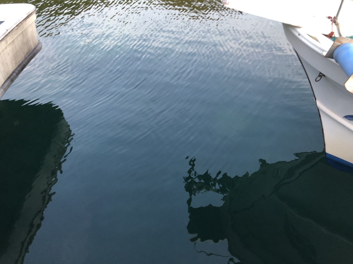 f:id:awajitakota:20190819190917j:plain