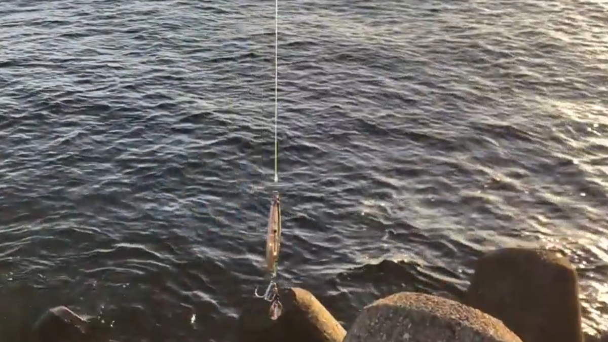 日本鋼管のjfe突堤は簡単にハマチが釣れました 海も山も大好きチャンネル